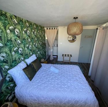 A louer appartement t2
