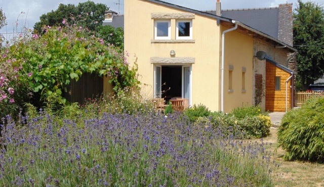 A lovely 4 bed characterful house, in a peaceful rural setting.