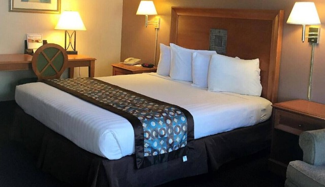 A Lovely Suite W/ Outdoor Swimming Pool