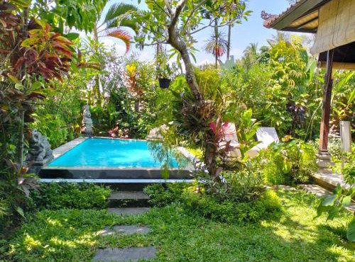 A Lush Tropical Villa in Ubud Rice Fields