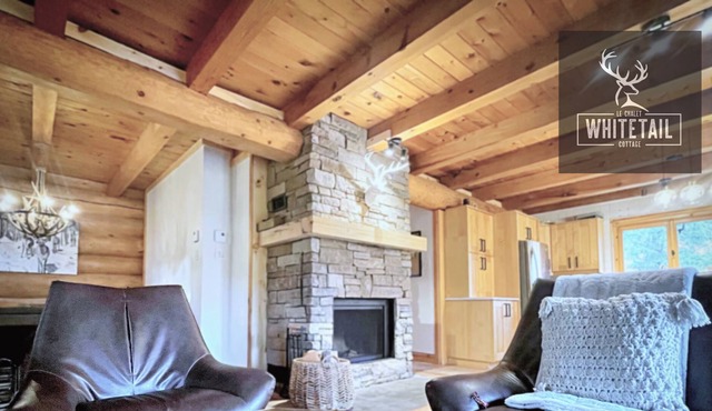 A luxurious Cabin with a spa with a private lake