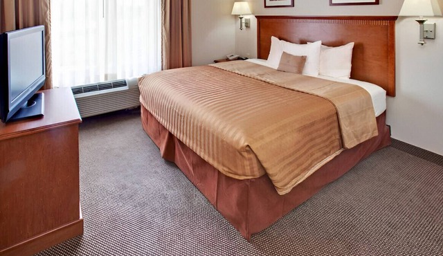 A Luxurious Haven for Sweet & Lovely Couples
