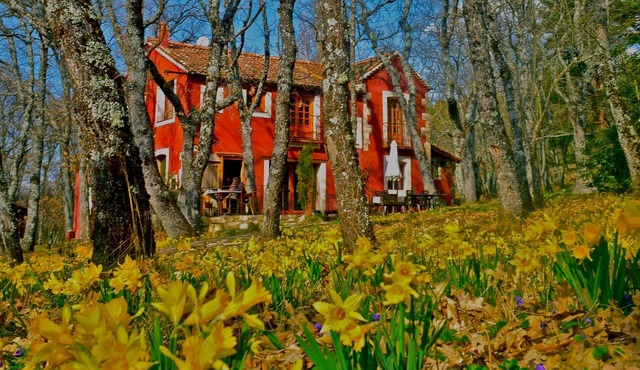 A magical house in the heart of Guadarrama Park