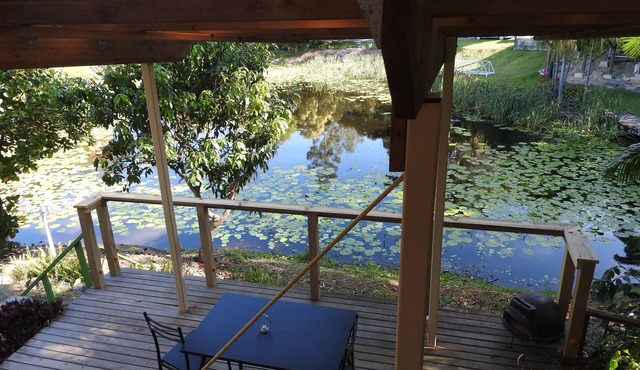 A midsummer night's dream