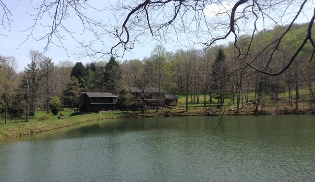 A Modern House in a Large Nature Reserve in Ligonier Valley!