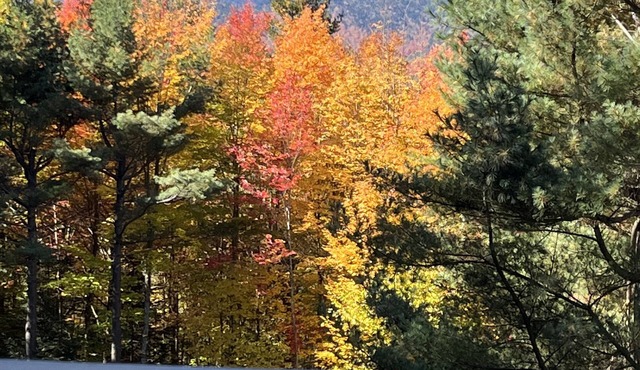 A Mountain View Chalet - Whiteface - Lake Placid
