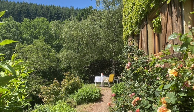 A nature lover's paradise: walks and relaxation at the gîte