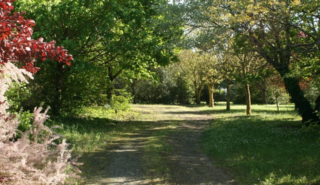 A nature paradise 3km from the beach - near La Rochelle