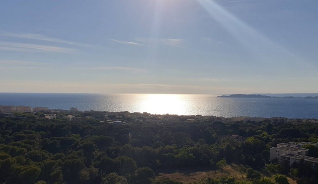 A nest between sea and sky!
