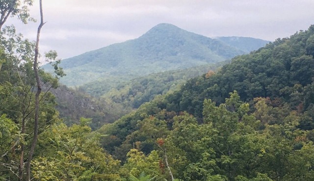 A new cabin only 1 mile from the heart of Gatlinburg!