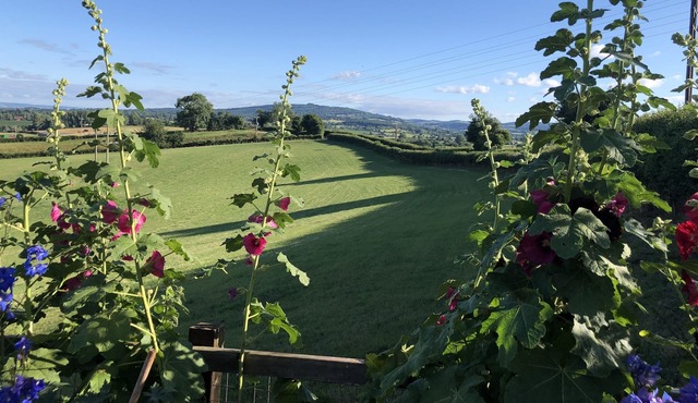 A newly Renovated and Exclusive Studio