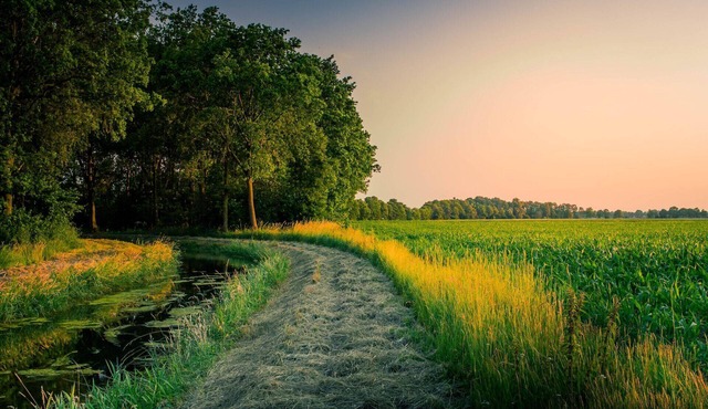 A newly renovatedroom in Westbury Long Island !