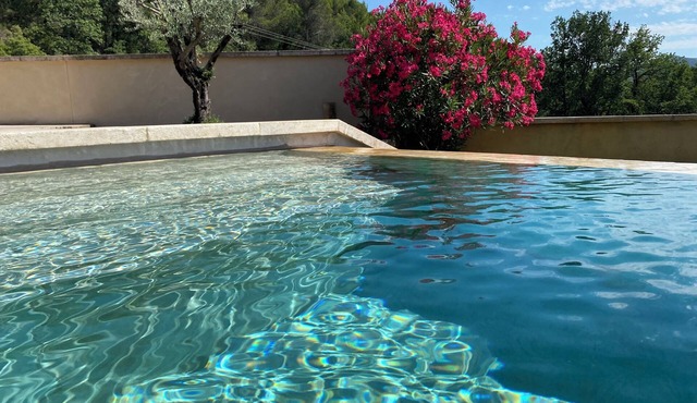 A nice house at Mas de la Pinède with a pool for 2 to 10 persons