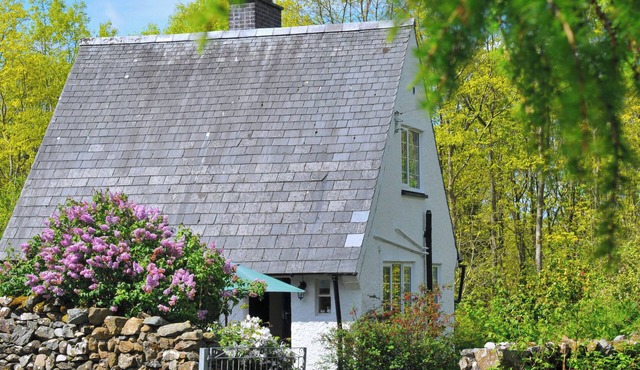 A North Wales woodland retreat; a fairytale cottage for magical holidays.