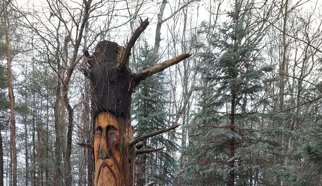 A One of a Kind Family Retreat