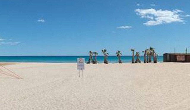 A paradise next to the beach