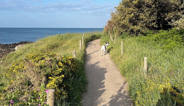 A paradise for lovers of the sea, nature and sport