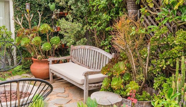 A Peaceful Garden Sanctuary
