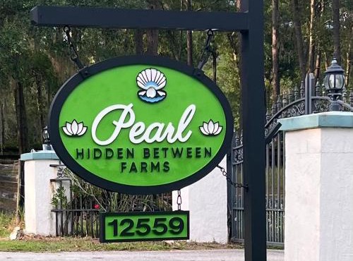 A Pearl Hidden Between Farms