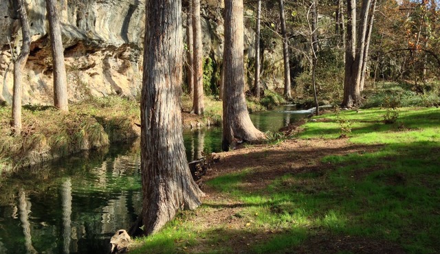 A Perfect Spring Getaway with a Natural Spring Swimming Hole!