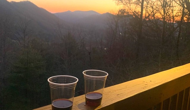 A Perfect View! Dog Friendly Cabin at The Top of The Mountain!