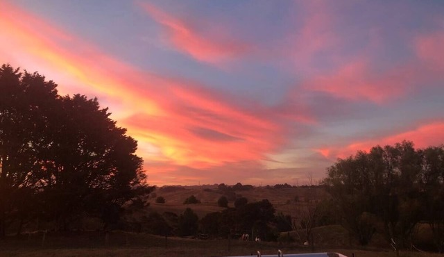 A Place in the Country