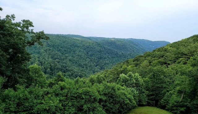 A Private escape just off Parkway at Groundhog Mountain