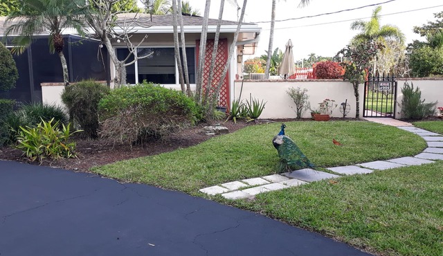 A private waterfront Lake Ida setting located in the middle of 23 acres