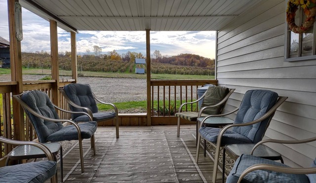 A quiet country setting on a working grape farm.