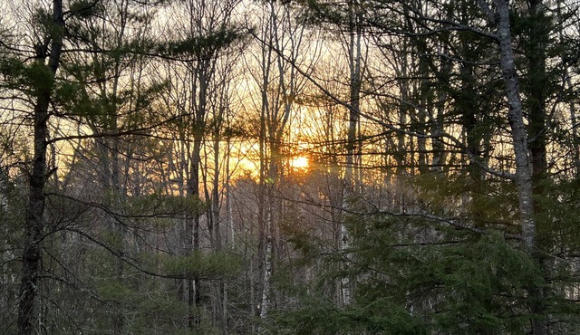 A quiet, secluded getaway, yet still close to everything!