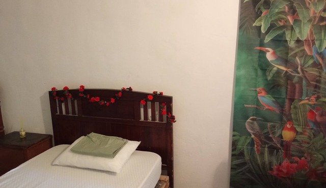 A quirky cave house in rural Murcia province - La Cueva (The Brave Stays)