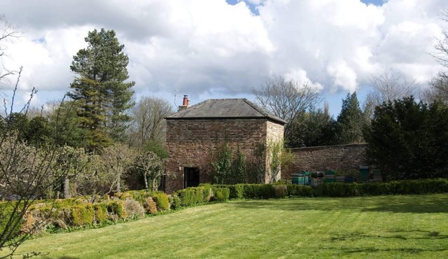 a quirky garden building in an orchard