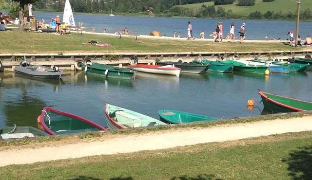 A real wooden chalet; comfort and view, sauna, ski at 10 min., lake at 5 min.