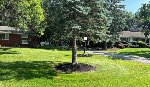 A relaxing home away from home, 20 minutes from downtown Detroit