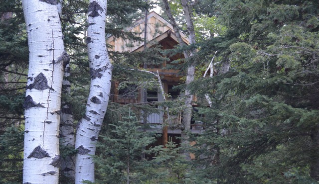 A remote cabin surrounded by Pine, Birch and Aspen trees, five miles to Deadwood