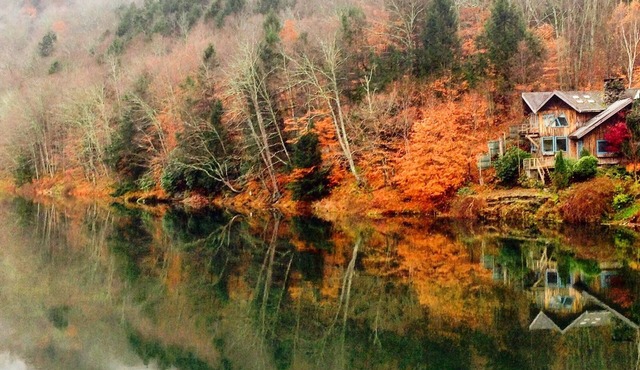 A river runs through it