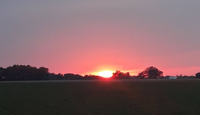 A Rustic Delta Cabin