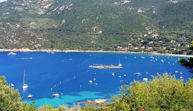 A seaside interlude between nature and serenity