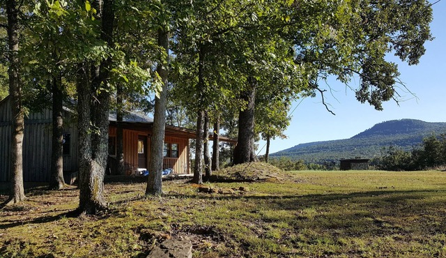 A secluded cabin on the Buffalo Nation River with beautiful views and wildlife.