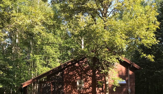 A secluded cabin on the wild and scenic kettle river