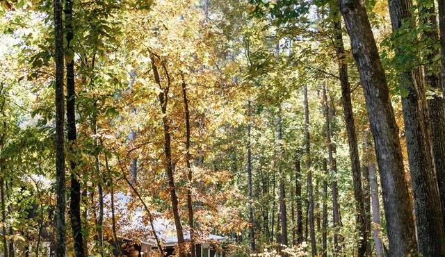A secluded haven on 5,000 acres in NW Georgia, just 45 minutes from Atlanta and Chattanooga, and a quick 10-minute drive to downtown Rome. Explore private trails along the Etowah river, bask in wildlife, and gaze at mesmerizing stars. Your perfect es