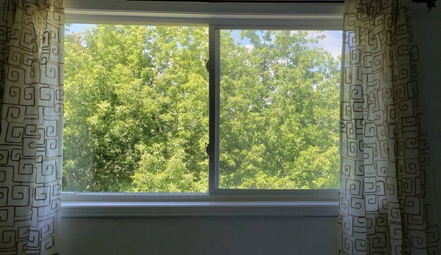 A semi detached 3 bedroom house