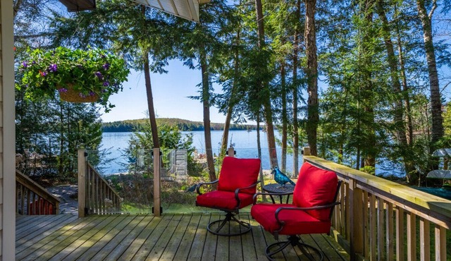 A Serene Lake Escape