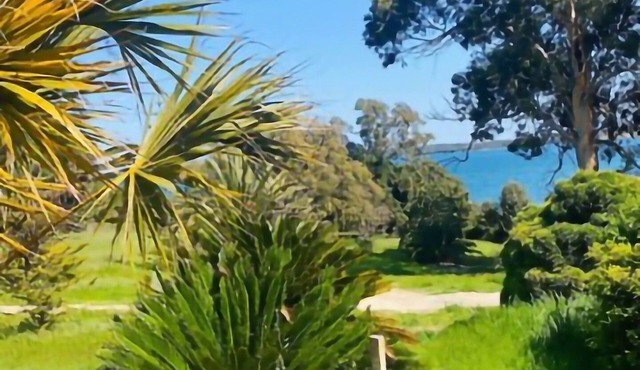 A serene moment overlooking Diana pond