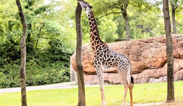 A Short Drive to Nashville Zoo! 3 Family-Friendly Units, Kitchen, Free Breakfast