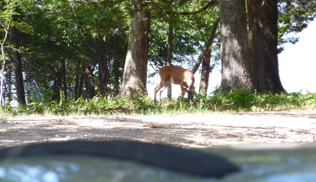 A Simple, Clean, and Quiet Lakeside Getaway