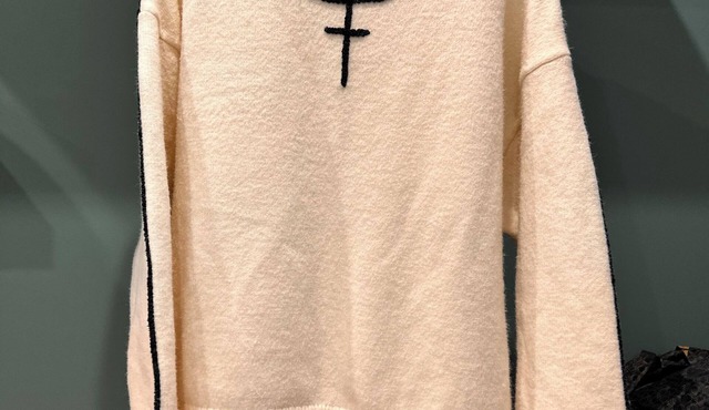 A+ single-storey wood-frame studio apartment