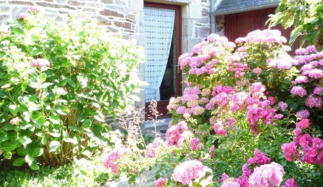 A small haven of peace close to the sea