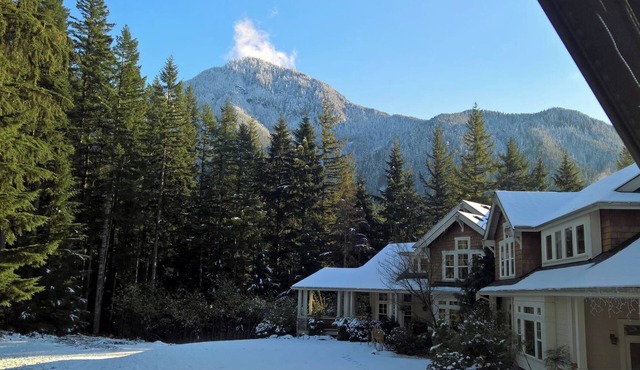 A Spacious Mountain Retreat with Stunning Views. 1 bedroom, 2000sqft entire