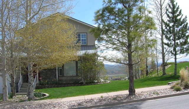 A Spacious Retreat On A Quiet Street